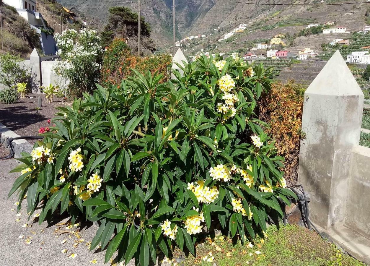 Gomera Garden. Vista Mar Altozano 埃尔米瓜 外观 照片